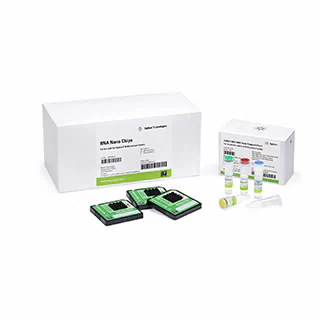 Bioanalyzer RNA Analysis